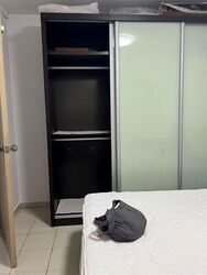 Blk 914 Jurong West Street 91 (Jurong West), HDB 5 Rooms #591408061